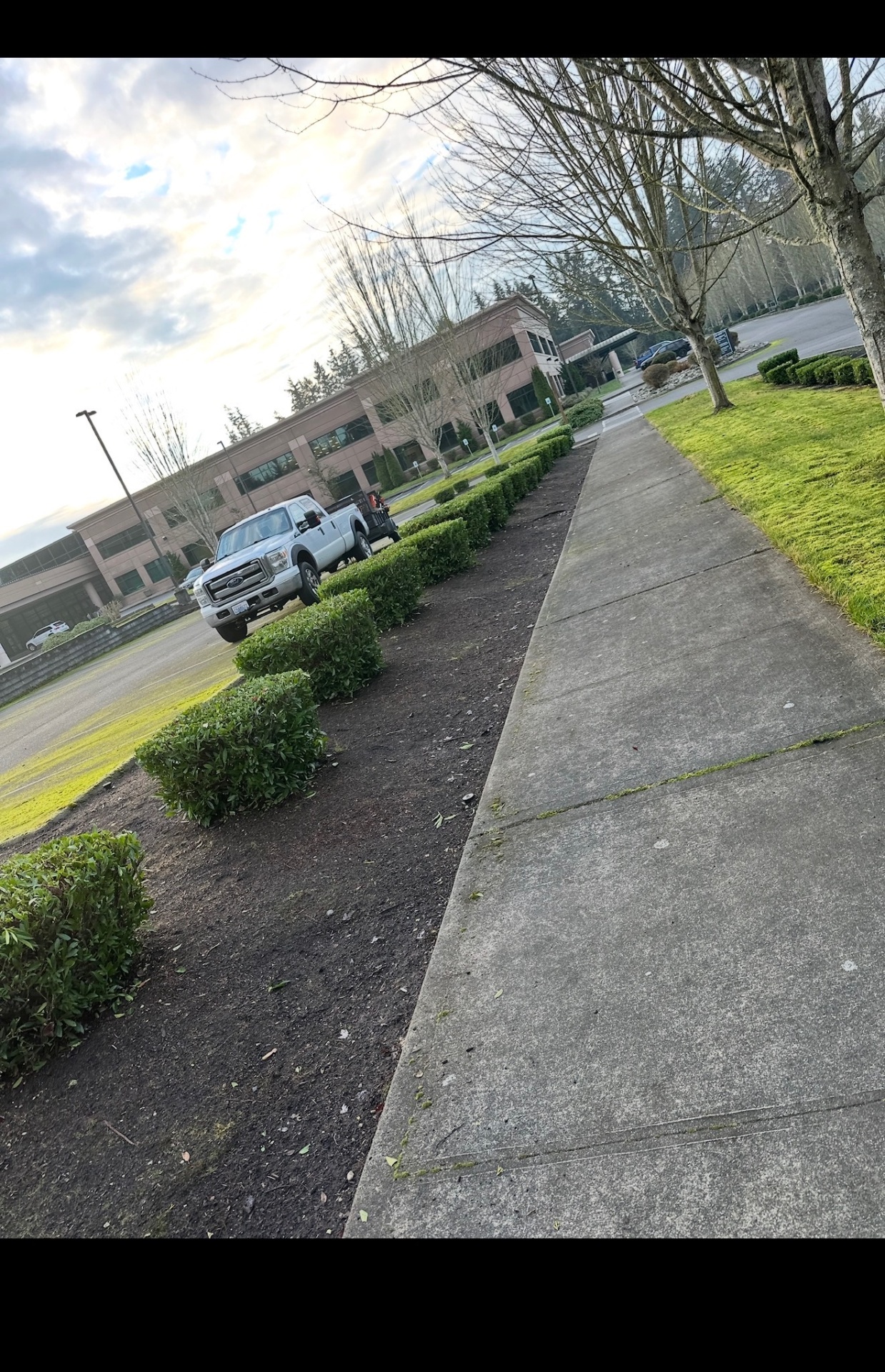 Office Park Maintenance